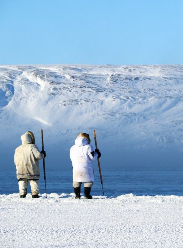 Dans La Zone Arctique